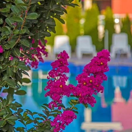 Ξενοδοχείο με διαμερίσματα Anthony Complex Sveti Vlas